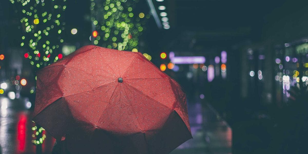 The Atomic Habits System: Small Changes, Remarkable Results
